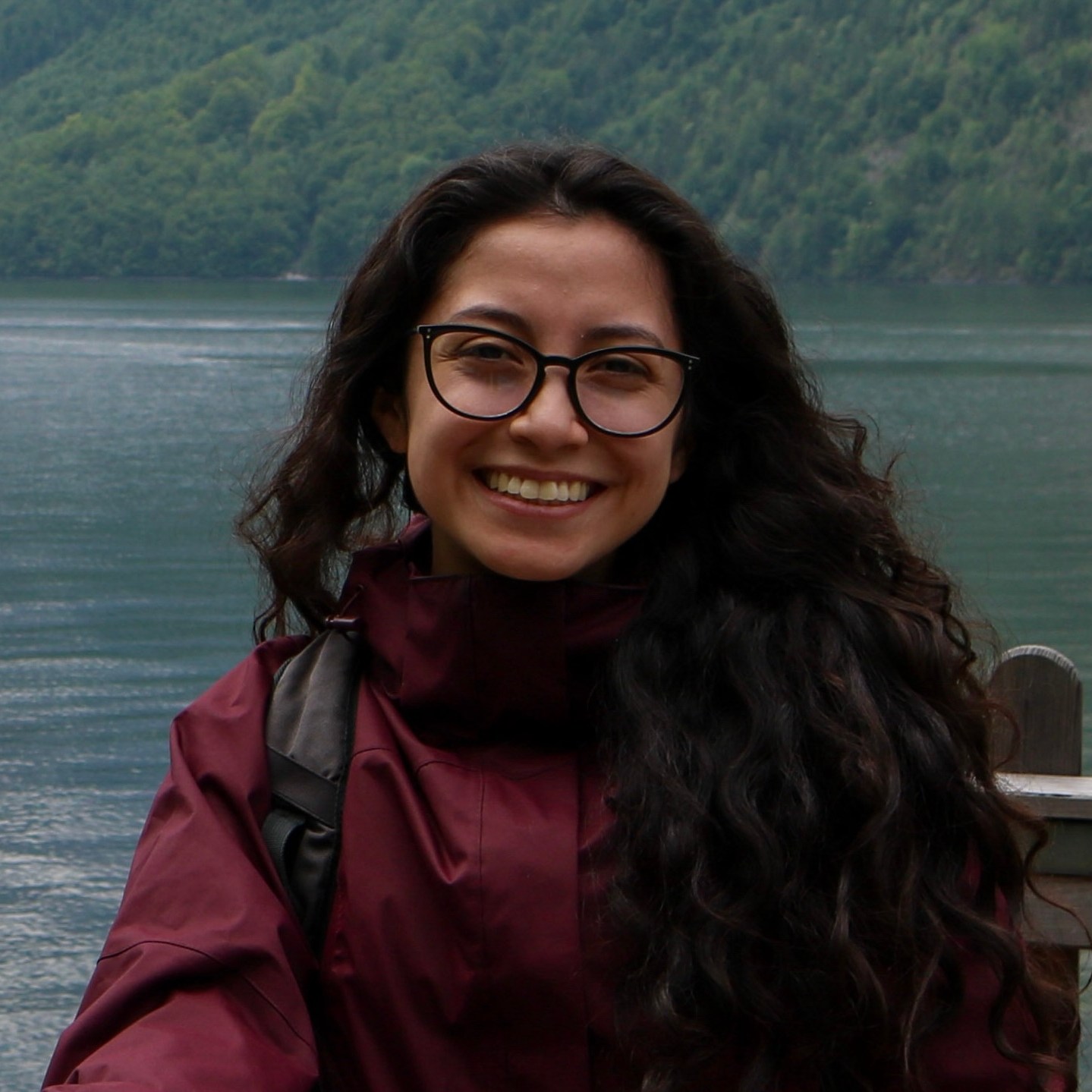 Emilia Iglesias Moncayo, PhD Student (VU Amsterdam), mmoncayo3[at]gatech.edu, From: Ecuador